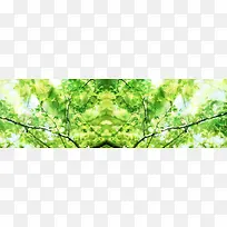 清新树枝树叶背景banner-空若网 清新树枝树叶背景banner-空若网