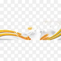 ��Ʒʵ��ţ������-������