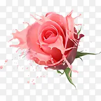 花卉设计-空若网 花卉设计-空若网