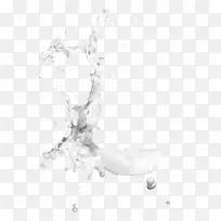 溅起的白色液体-空若网 溅起的白色液体-空若网