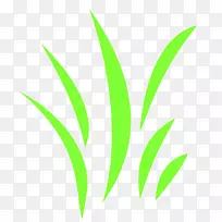 叶草植物茎-绿草-空若网 叶草植物茎-绿草-空若网
