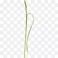 µçÄÔͼ±ê²Ý¼ôÌù»Â̲Ý-¿ÕÈôÍø µçÄÔͼ±ê²Ý¼ôÌù»Â̲Ý-¿ÕÈôÍø