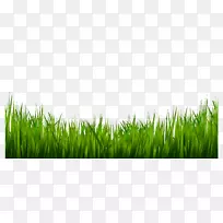 ������-�̲�-������