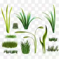 草本植物数字图像剪辑艺术绿草-空若网 草本植物数字图像剪辑艺术绿草-空若网