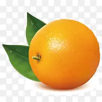 黄色的橙子-空若网 黄色的橙子-空若网