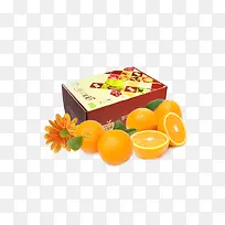 ����-������