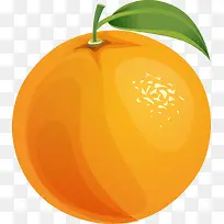 手绘橙色橙子-空若网 手绘橙色橙子-空若网