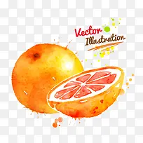 水彩卡通橙子-空若网 水彩卡通橙子-空若网