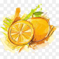 矢量手绘水彩橙子-空若网 矢量手绘水彩橙子-空若网