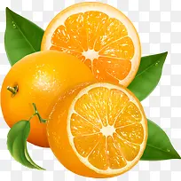 ˮ�������ʳ�-������