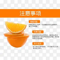 橙子片水果-空若网 橙子片水果-空若网