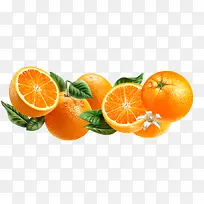 ������Ҷˮ��-������