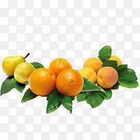 水果-空若网 水果-空若网