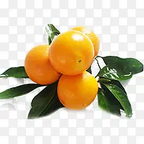 新鲜橙子食物水果-空若网 新鲜橙子食物水果-空若网