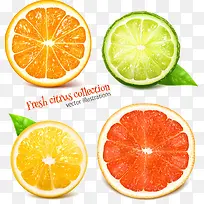 橙子素材-空若网 橙子素材-空若网