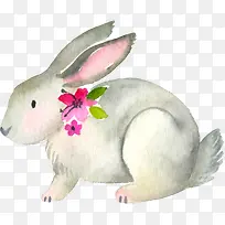 �ֻ�����-������