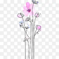 �ֻ�ֲ��-������