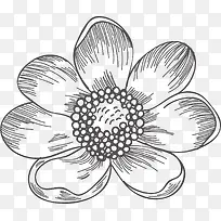 �ֻ滨��-������