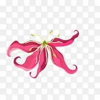 手绘花朵-空若网 手绘花朵-空若网