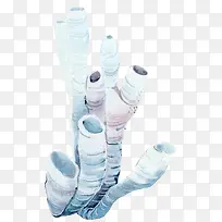 �ֻ�ֲ��-������