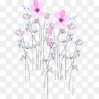 手绘植物-空若网 手绘植物-空若网