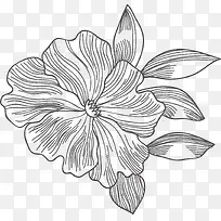 �ֻ�ֲ��-������