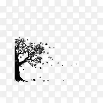 �滭ֲ�� �� �ڰ�-������