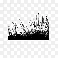 绘画植物 草 黑白-空若网 绘画植物 草 黑白-空若网