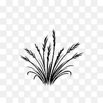 �滭ֲ�� С��  �ڰ�-������