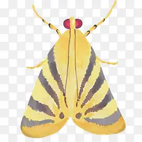 手绘昆虫-空若网 手绘昆虫-空若网