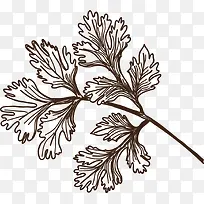 手绘叶子-空若网 手绘叶子-空若网