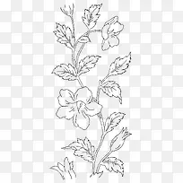 �ֻ�ֲ��-������