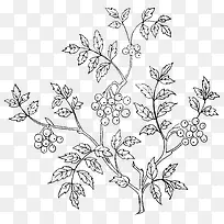 �ֻ�ֲ��-������