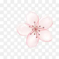 手绘花朵-空若网 手绘花朵-空若网