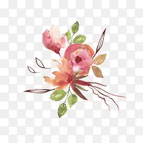 �ֻ�ֲ��-������