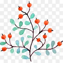 �ֻ�ֲ��-������