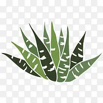 手绘植物-空若网 手绘植物-空若网