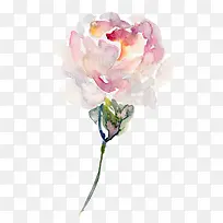 �ʻ�ֲ��-������