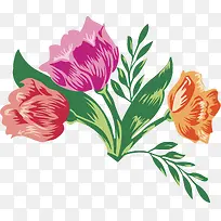 手绘植物-空若网 手绘植物-空若网