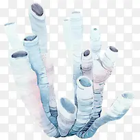 手绘植物-空若网 手绘植物-空若网