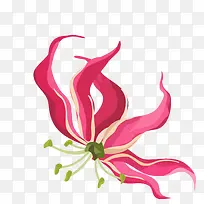 手绘花朵-空若网 手绘花朵-空若网