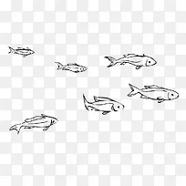 手绘小鱼-空若网 手绘小鱼-空若网