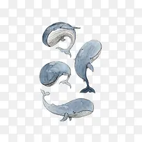 手绘鲸鱼-空若网 手绘鲸鱼-空若网