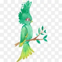 水彩动物绿色鹦鹉-空若网 水彩动物绿色鹦鹉-空若网