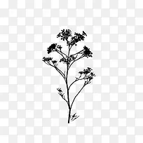 绘画植物 树 黑白-空若网 绘画植物 树 黑白-空若网