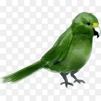 Ë®²Ê¶¯ÎïÂÌÉ«ðÐðÄ-¿ÕÈôÍø Ë®²Ê¶¯ÎïÂÌÉ«ðÐðÄ-¿ÕÈôÍø