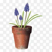 卡通绘画薰衣草花盆-空若网 卡通绘画薰衣草花盆-空若网