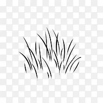 �滭ֲ�� С��  �ڰ�-������