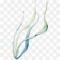 手绘植物-空若网 手绘植物-空若网