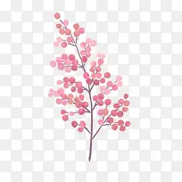 手绘植物-空若网 手绘植物-空若网